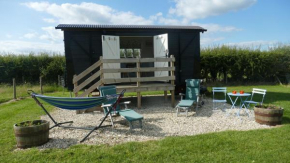 Elms Farm